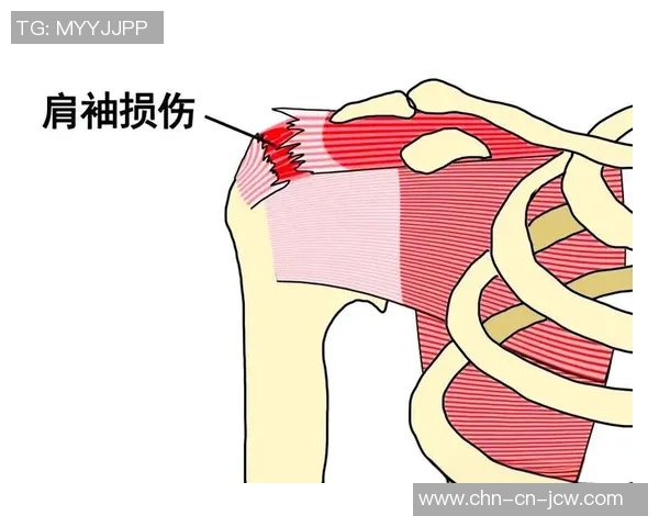 掌握足球接球技巧提升球场表现的全面指南